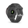 Montre intelligente GARMIN Forerunner 255 Gris 1,3" 46 mm
