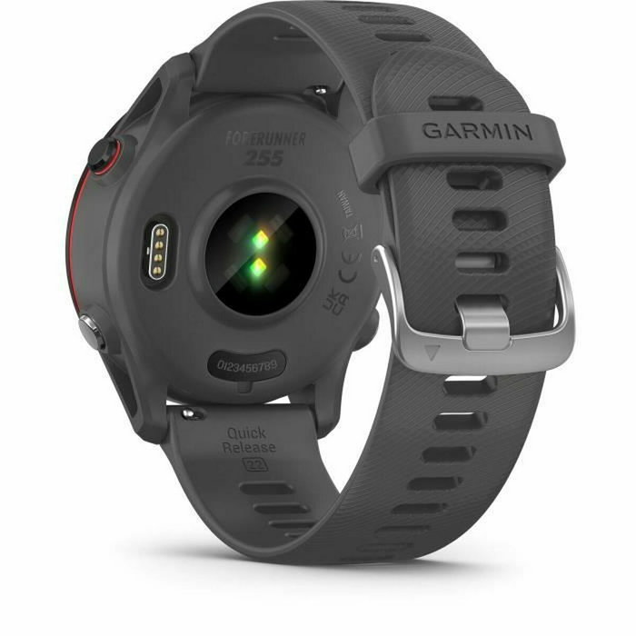 Montre intelligente GARMIN Forerunner 255 Gris 1,3" 46 mm