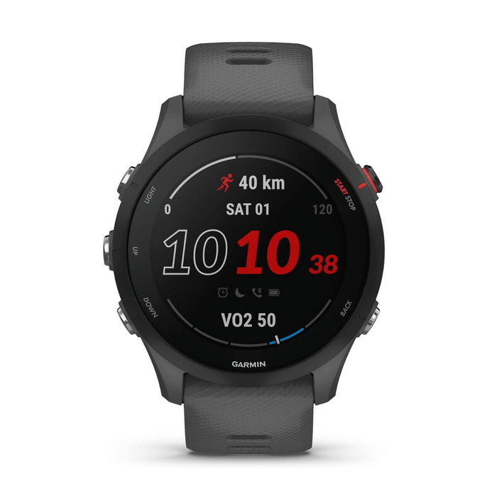 Montre intelligente GARMIN Forerunner 255 Gris 1,3" 46 mm