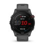Montre intelligente GARMIN Forerunner 255 Gris 1,3" 46 mm
