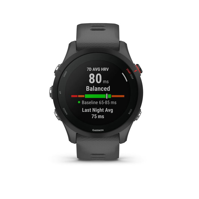 Montre intelligente GARMIN Forerunner 255 Gris 1,3" 46 mm