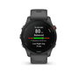 Montre intelligente GARMIN Forerunner 255 Gris 1,3" 46 mm