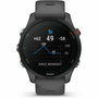 Montre intelligente GARMIN Forerunner 255 Gris 1,3" 46 mm