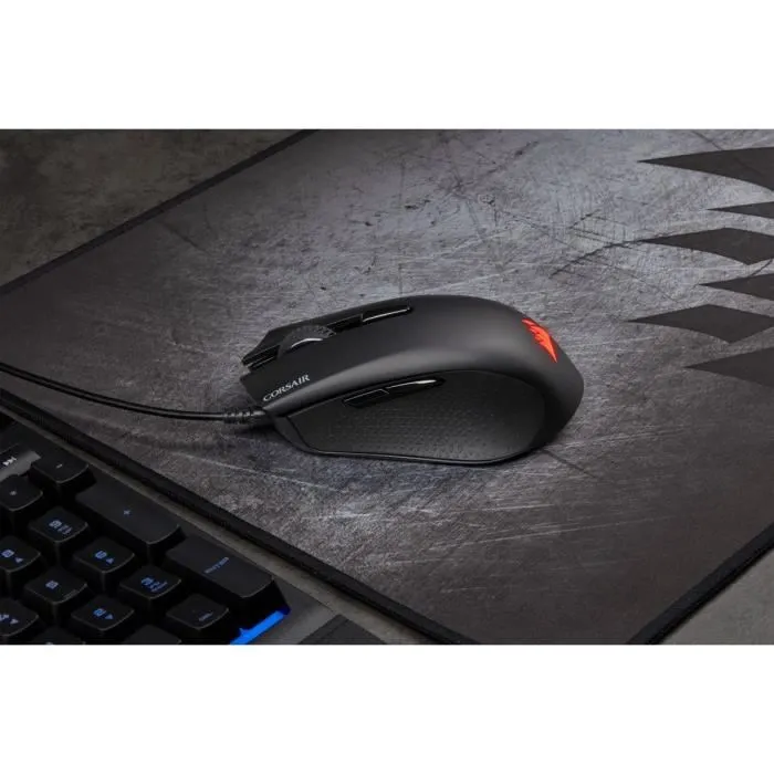 CORSAIR Souris Gamer Optique HARPOON RGB PRO FPS/MOBA - Rétroéclairé RGB LED - 12000 DPI - Noir (CH-9301111-EU)