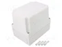FIBOX MNX Boîtier Universel Gris PC 150/150 HG
