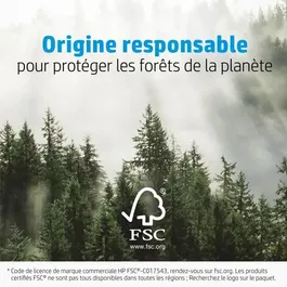 HP Papier photo glacé Avancé - 10 feuilles - Format 4 x 12 pouces - 250 g/m2 - Pour impressions photo professionnelles durables et couleurs éclatantes