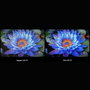 TV intelligente Xiaomi MINILED 2025 LED 4K Ultra HD 75"