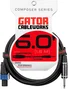 CABLEWORKS Câble Haut-Parleur Jack/Speakon - 1,8 m