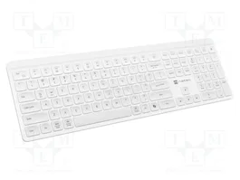 NATEC TANG Clavier sans fil blanc US layout