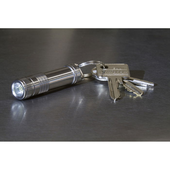 Porte-clés lanterne LED True tu312k 50 lm Porte-clés lanterne LED True tu312k 50 lm