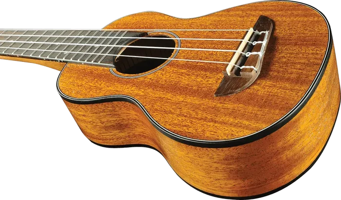 EKO Duo Ukelele Soprano en Acajou Pack avec Housse et Accessoires EKO Duo Ukelele Soprano en Acajou Pack avec Housse et Accessoires