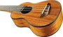 EKO Duo Ukelele Soprano en Acajou Pack avec Housse et Accessoires