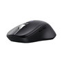 Souris Trust 25673 Noir 3200 DPI