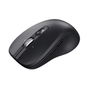 Souris Trust 25673 Noir 3200 DPI