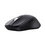 Souris Trust 25673 Noir 3200 DPI