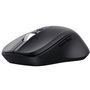 Souris Trust 25673 Noir 3200 DPI