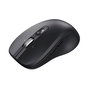 Souris Trust 25673 Noir 3200 DPI