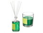Acorde Coffret Mikado Bougie 100 ml Bambou 30h 19x15x7cm Verre (Set de 6)
