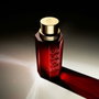 Hugo Boss The Scent Elixir pour lui Eau de Parfum 100 ml