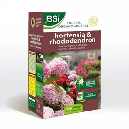 BSI Engrais organo-minéral 100% naturel pour hortensias, rhododendrons et plantes de terre de bruyère, NPK 5-3-5 + 2 MgO, sac 4 kg (couvre 40 m²)