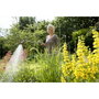 Gardena Fusil-arrosoir pour suspensions Comfort - Jet aéré & brume - 90cm