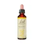 Bach Original Gentian Nº12, 20ml