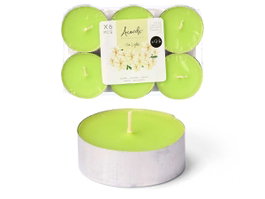 Acorde Lot de 6 Bougies Chauffes-Plat Maxi Jasmin 9h Vert 17,5x2,2x11,8 cm (Set de 24)