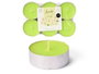 Acorde Lot de 6 Bougies Chauffes-Plat Maxi Jasmin 9h Vert 17,5x2,2x11,8 cm (Set de 24)