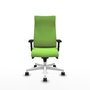 Piqueras Y Crespo Fauteuil Albacete Pistache avec mécanisme Synchro et accoudoirs 2D