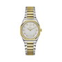 Montre Femme GC Watches Z25002L1MF (Ø 34 mm)