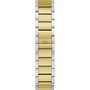 Montre Femme GC Watches Z25002L1MF (Ø 34 mm)