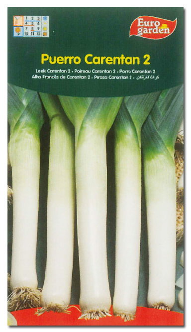 Semillas Fito Horticolas Poireau Vert de Carentan (Boîte de 10) Semillas Fito Horticolas Poireau Vert de Carentan (Boîte de 10)