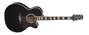 TAKAMINE Guitare Acoustique-Électrique GN73 E/A Nex Cutaway Noir Satiné