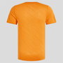 T-shirt à manches courtes unisex Odlo 313732-30884 Orange Foncé (S)