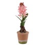 BigBuy Home Plante décorative Vert, Rose, Terre cuite