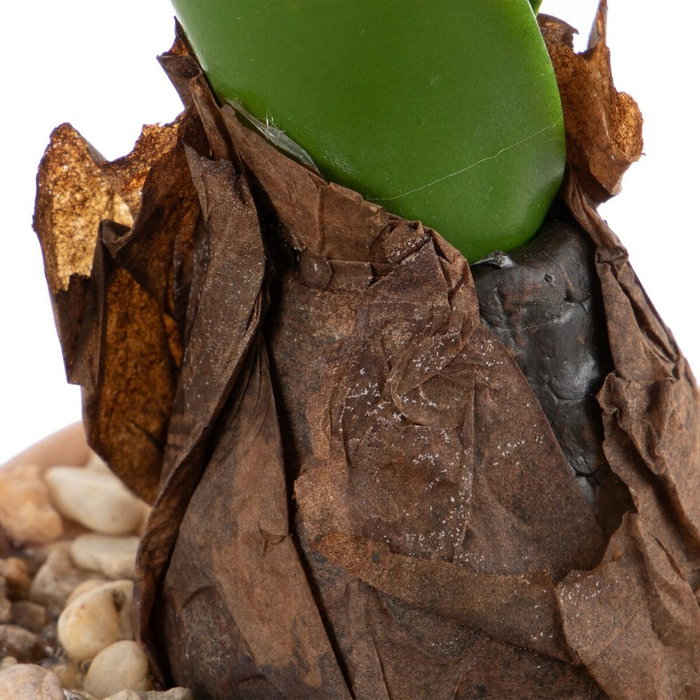 BigBuy Home Plante décorative Vert, Rose, Terre cuite BigBuy Home Plante décorative Vert, Rose, Terre cuite