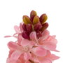 BigBuy Home Plante décorative Vert, Rose, Terre cuite