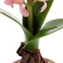 BigBuy Home Plante décorative Vert, Rose, Terre cuite
