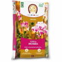 Or Brun Terreau orchidées 6 L