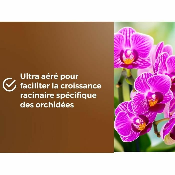 Or Brun Terreau orchidées 6 L Or Brun Terreau orchidées 6 L