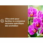 Or Brun Terreau orchidées 6 L