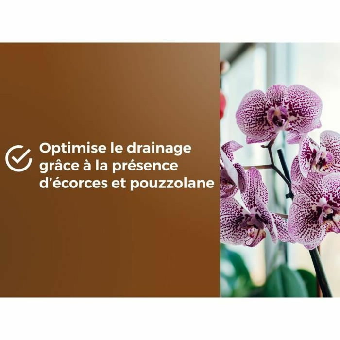Or Brun Terreau orchidées 6 L Or Brun Terreau orchidées 6 L