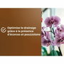 Or Brun Terreau orchidées 6 L