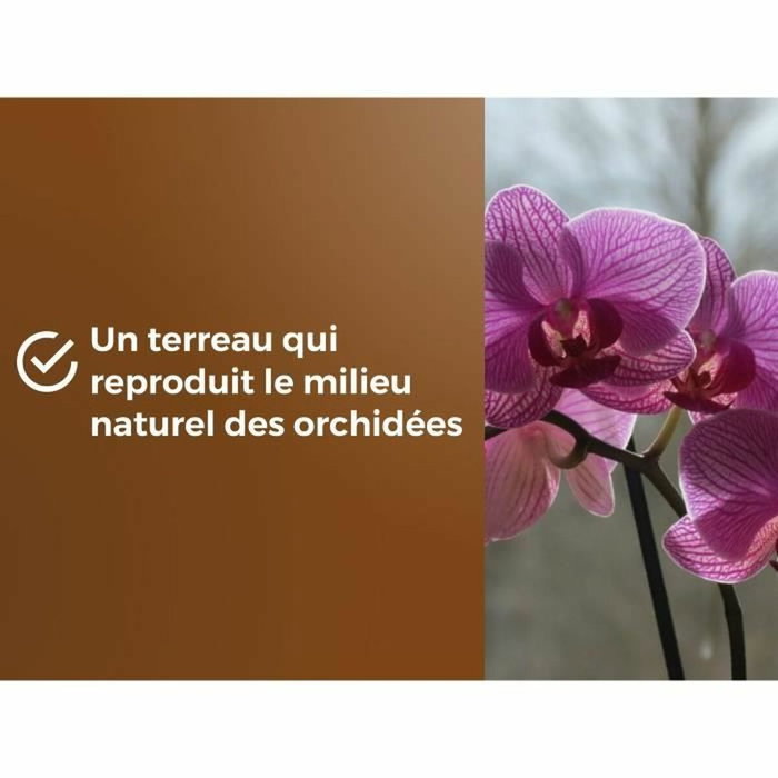 Or Brun Terreau orchidées 6 L Or Brun Terreau orchidées 6 L