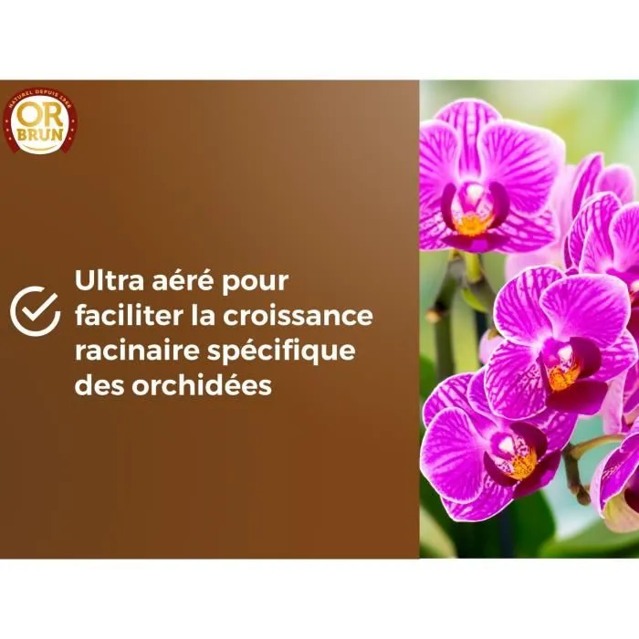 Or Brun Terreau pour orchidées OR BRUN OBRTORC6U 6L - Drainage optimisé avec écorces et pouzzolane pour croissance racinaire