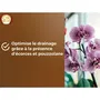 Or Brun Terreau pour orchidées OR BRUN OBRTORC6U 6L - Drainage optimisé avec écorces et pouzzolane pour croissance racinaire