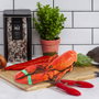 Cook Concept Pinces-ciseaux pour Crustacés