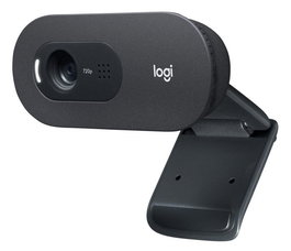 Logitech C505e - Webcam HD 720p/30 fps pour vidéoconférence, grand angle 60°, micro avec réduction de bruit, USB, fixation universelle