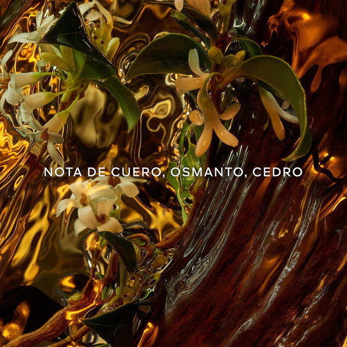 Guerlain ABSOLUS ALLEGORIA CUIR INTENSE Eau de Parfum Vapo 125 ml