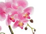 IBERGARDEN Maceta Terracota Cemento Rosa 2 Varas